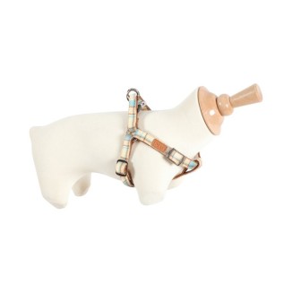 Pettorina Reg Scot 25Ml  Ble