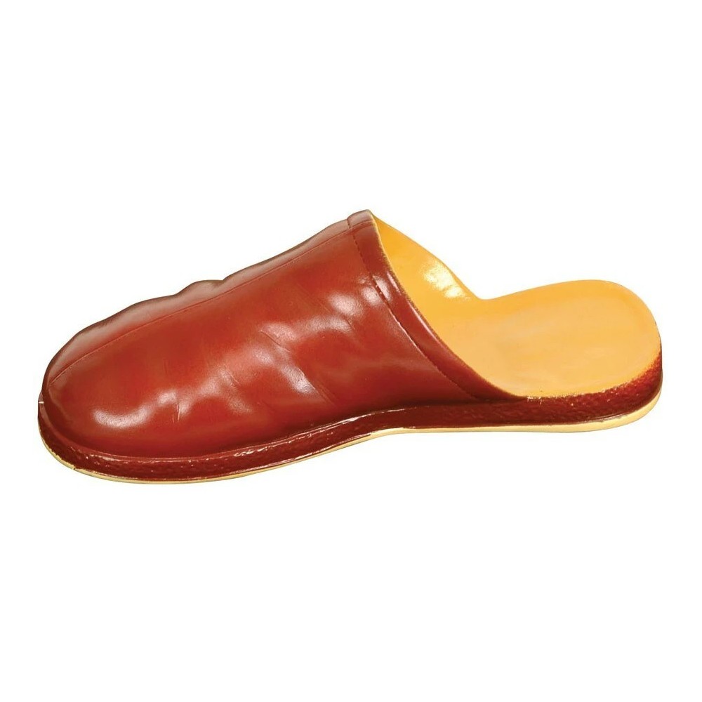 Leo Pet Pantofola In Vinile Cm 24