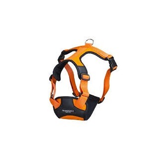 Pettorina Pratiko Energy Arancio Lycra Tg.00