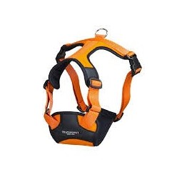Pettorina Pratiko Energy Arancio Lycra Tg.00