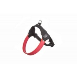 Pettorina Pratiko Daily Rosso Tg 1