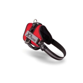 Pettorina Extreme Rossa Xl