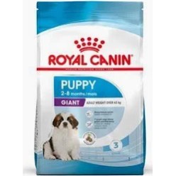 Royal Canin Crocchette cane  Giant Puppy 15Kg ACQUISTO MINIMO 2 PZ
