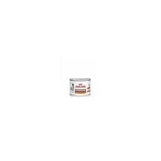 Royal Canin Vet Dog Gastr Low Fat 200 G