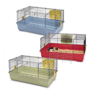 Set Cavia Piccola