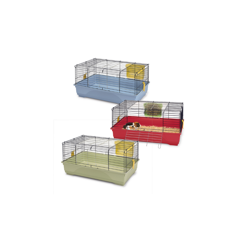 Set Cavia Piccola