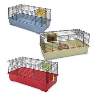 Set Cavia Grande
