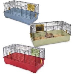 Set Cavia Grande