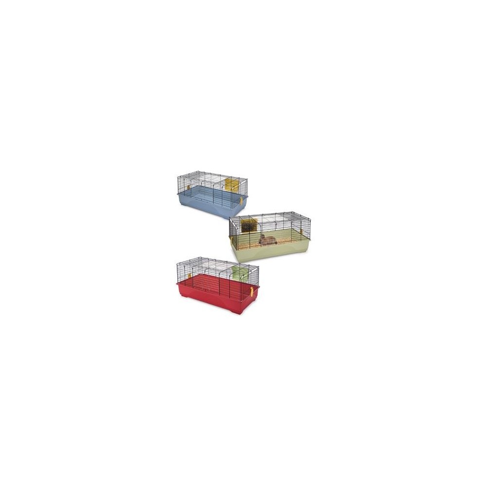 Set Cavia Grande
