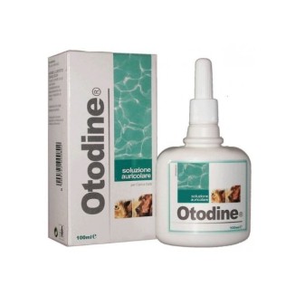 ICF OTODINE SOLUZIONE AURICOLARE 100 ML