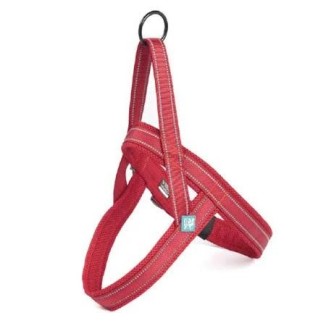 Pettorina Norvegese In Nylon E Mesh Rosso L 70-82 Cm