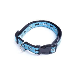 Record Ossicini Collare Nylon Azzurro 2,5X40-55 Cm