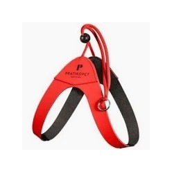 Pettorina Pratiko Laccio Basic Hf Rosso Tg.1.5