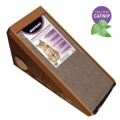 TIRAGRAFFI  SKATE CAT IN CARTONE CM 36X24X37