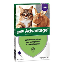 Elanco Advantage Spot-On per gatti e conigli Oltre 4 kg