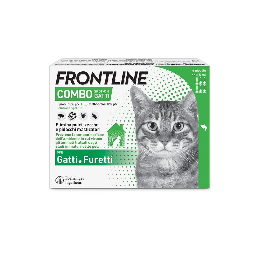 FRONTLINE COMBO GATTO 6 pipette