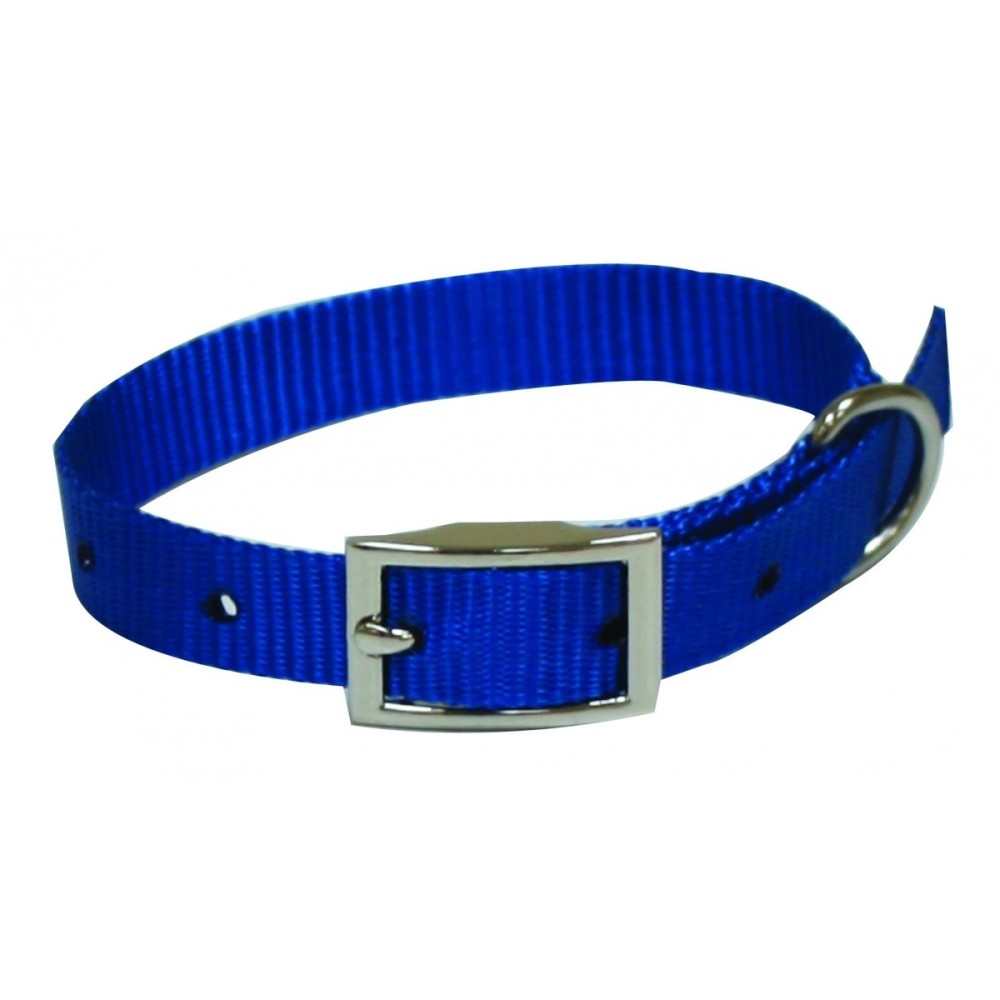 Leo Pet Collare Nylon Blu Cm 55 X 2.0