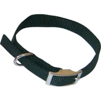 Leo Pet Collare Nylon Verde Cm 55 X 2.0