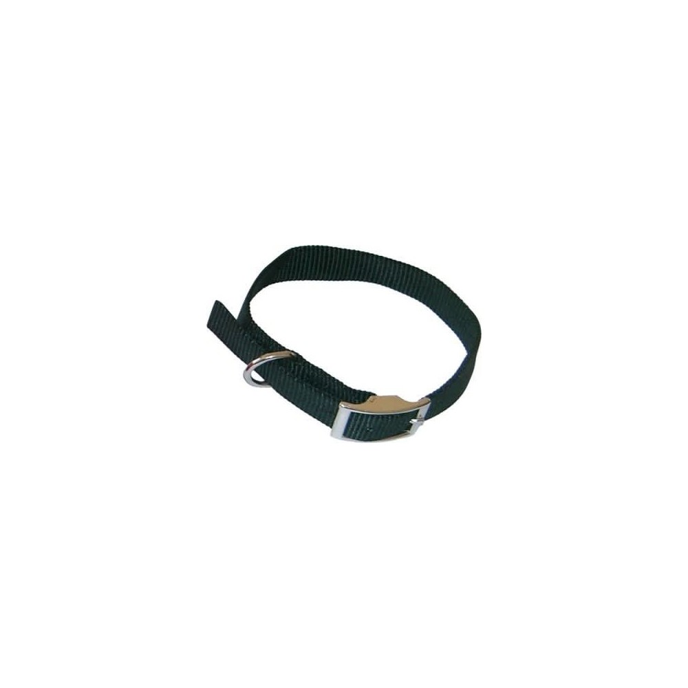 Leo Pet Collare Nylon Verde Cm 55 X 2.0