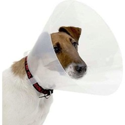 COLLARE ELISABETTA CM 10