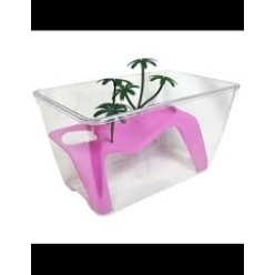 Tartarughiera Panarea Vari Colori 32.5X21X20H