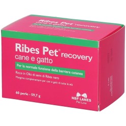 RIBES PET RECOVERY CANE E GATTO