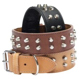 Leo Pet Collare Mastiff Cm 4.5X75 Marrone
