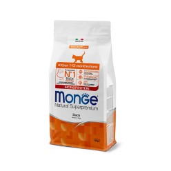 MONGE KITTEN ANTTRA 1.5 KG CROCCHETTE GATTO