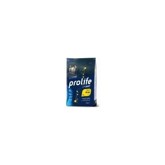 Dispenser  da 32lt + sacco da 7kg a scelta