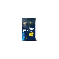 Dispenser  da 32lt + sacco da 7kg a scelta