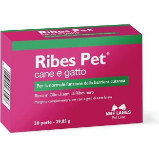 Ribes Pet 30 Perle