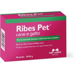 Ribes Pet 30 Perle
