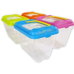 Acquario Ponza 4 (9 Lt) Color Mix