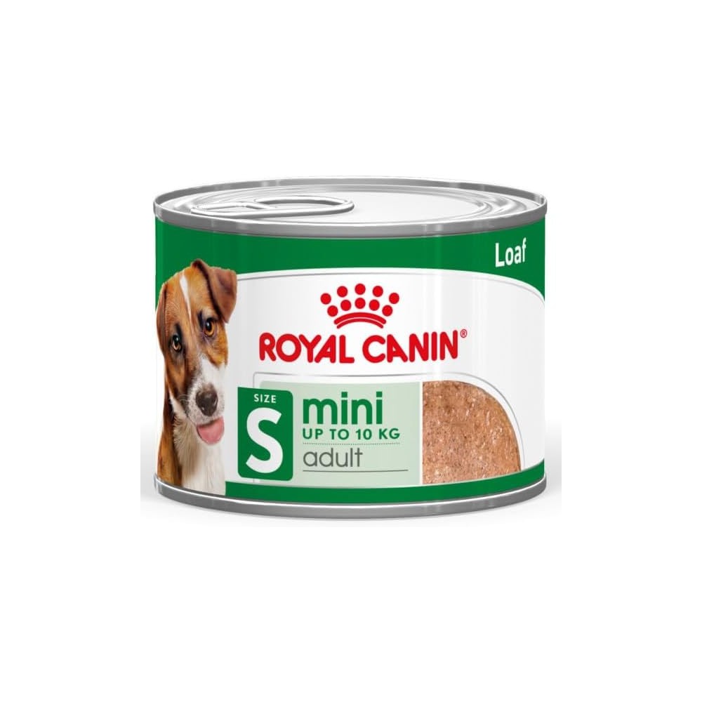 Shn W Mini Adult Cil 195G