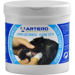 Artero Ditgali  Denti