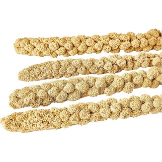 Panico In Spiga Padovan