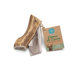 Corna Di Cervo Aperta M 80-120 G