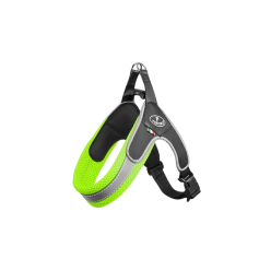 Pettorina Pratiko Reg. Verde. Soft Tg 2