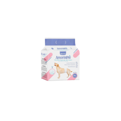 Record Assorbipiu 12 Pannolini A Fascia Per Cani Maschi