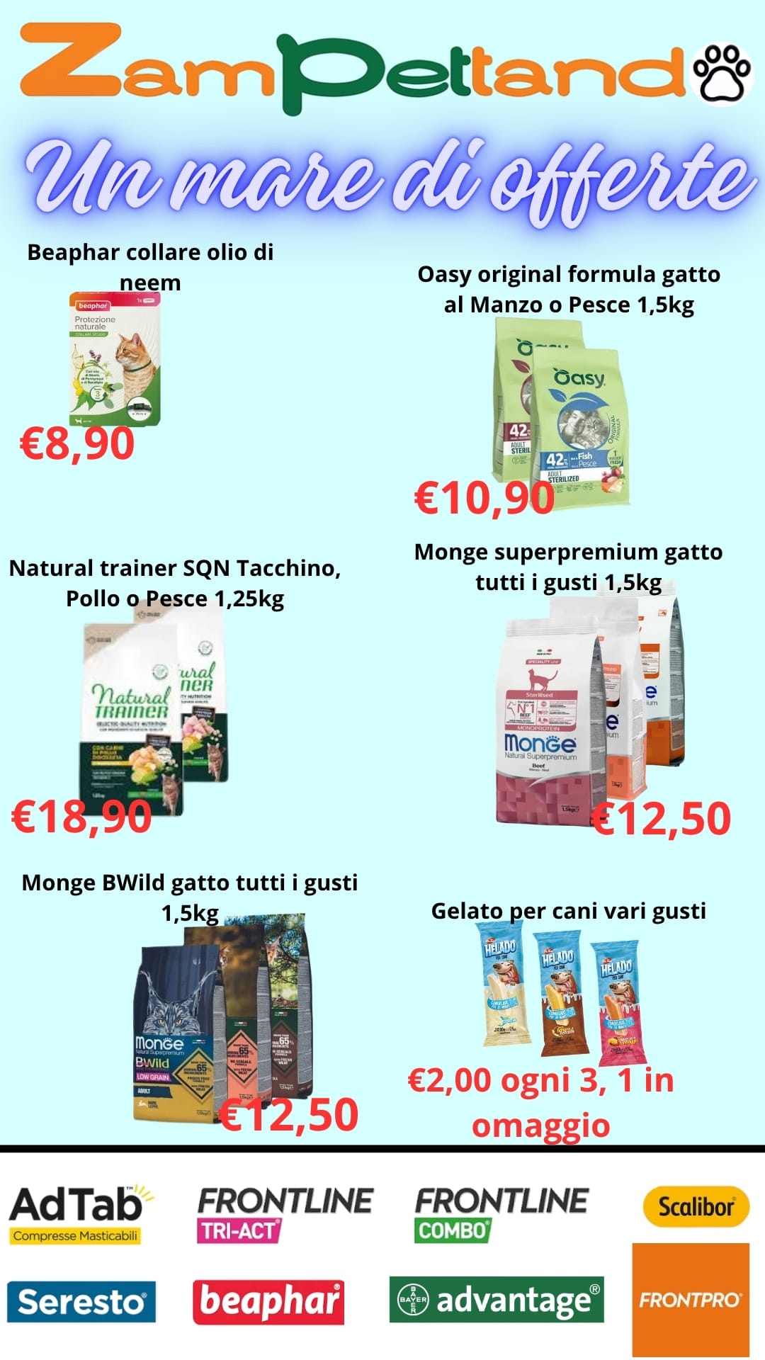Pagina 4