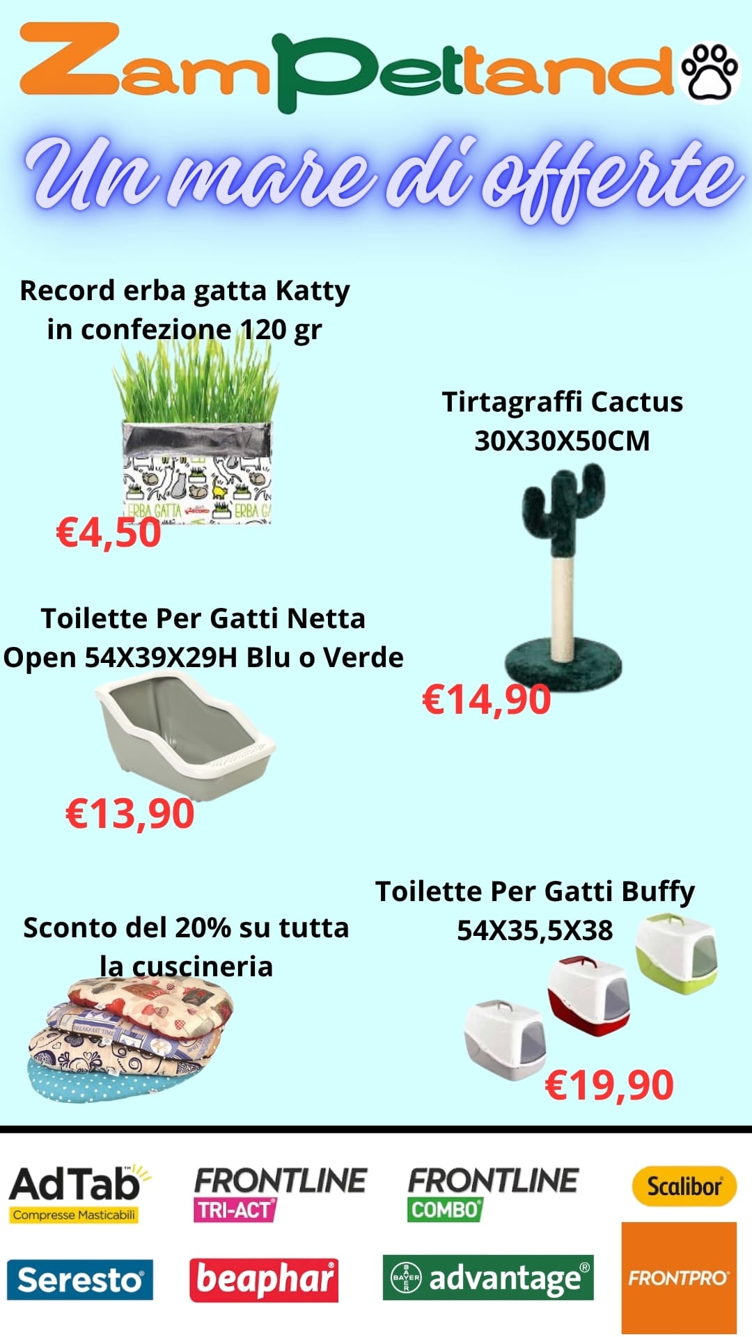 Pagina 6